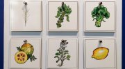vystavni-expozice-mendlovo-muzeum-brno-predci-nasich-plodin-2